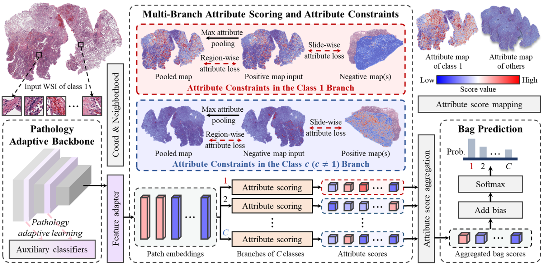 AttriMIL architecture with attribute scoring branches and constraints