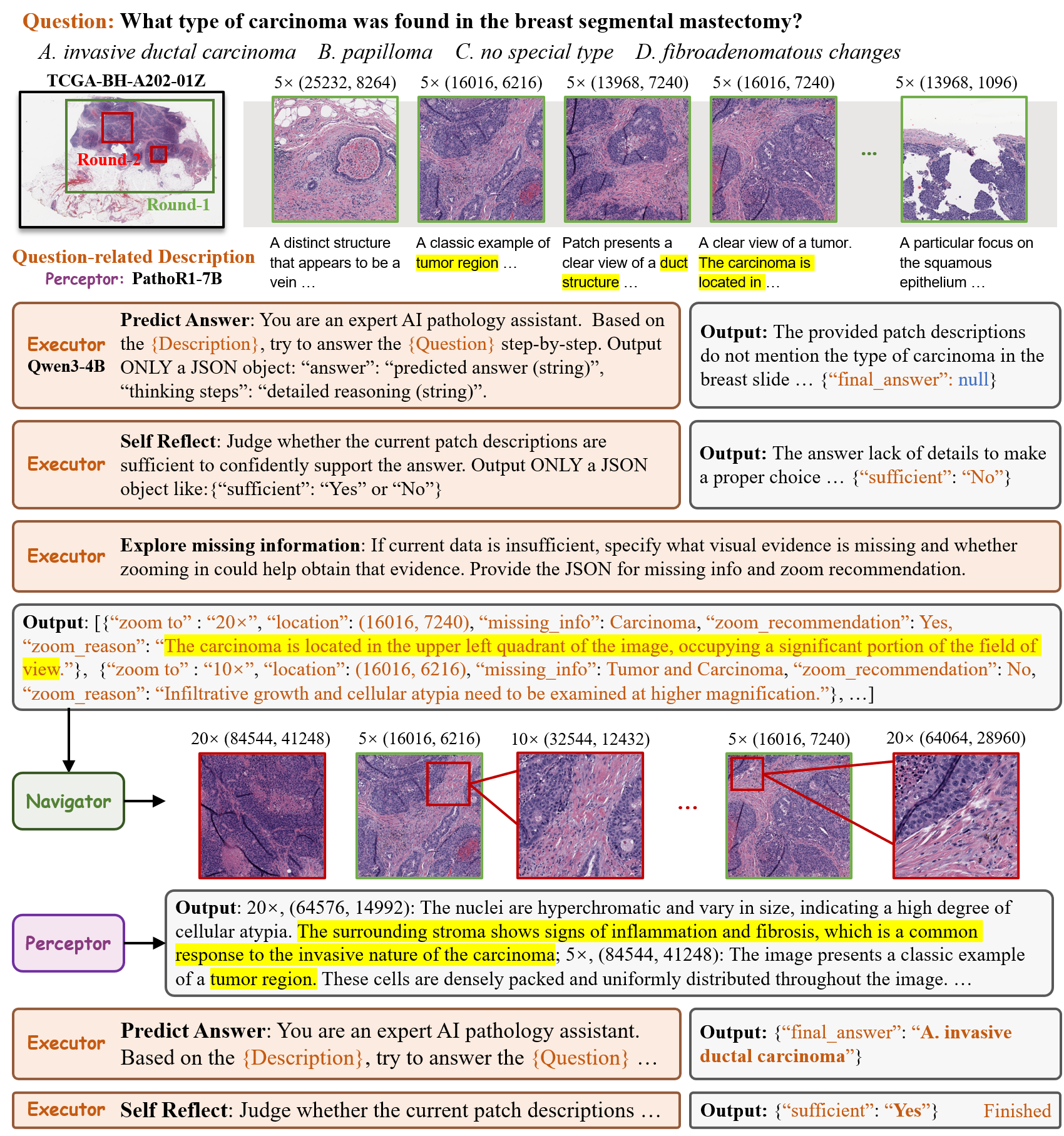 PathAgent iterative reasoning, navigation, and evidence retrieval workflow