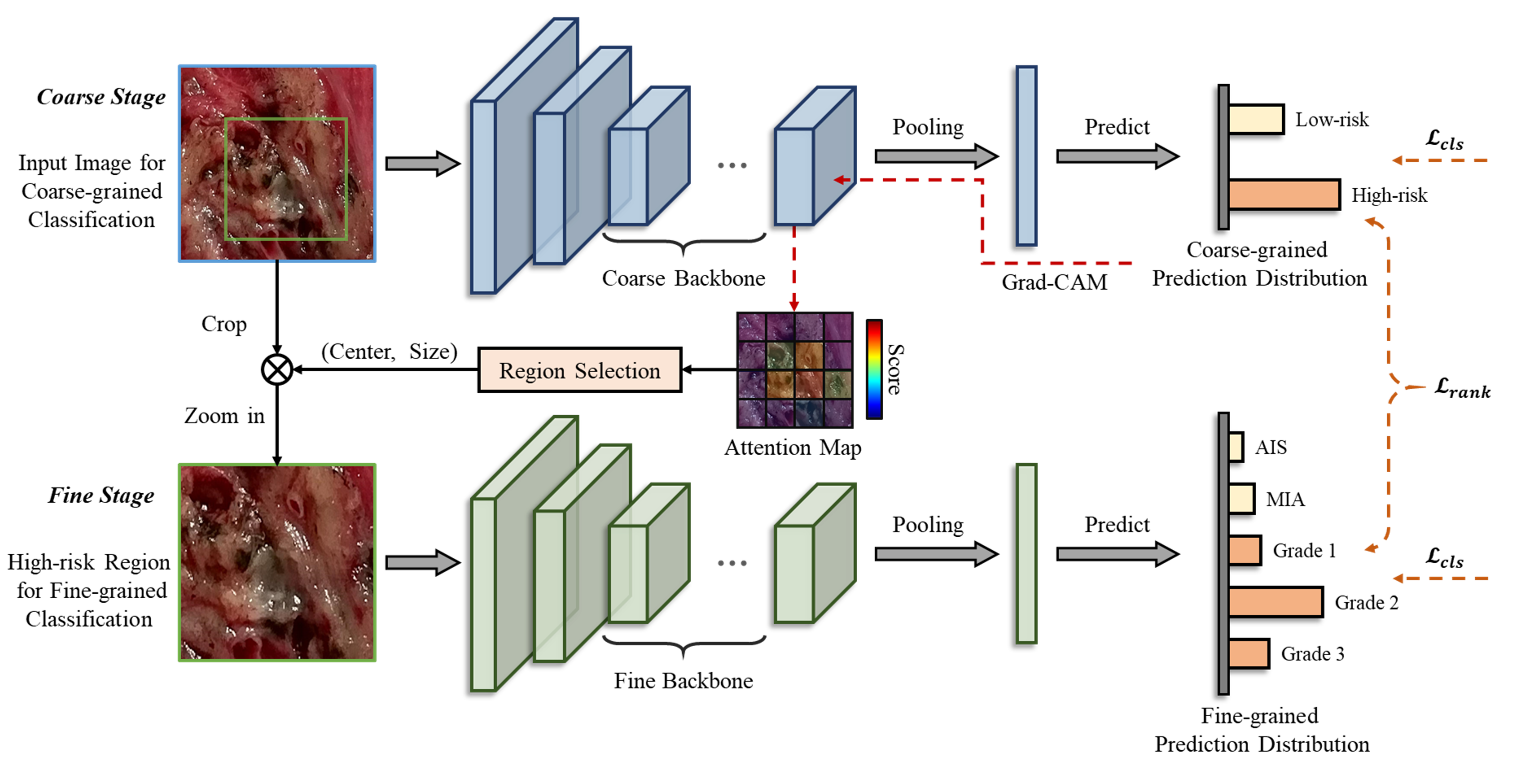 SuRImage coarse-to-fine model framework for surgical resection image analysis